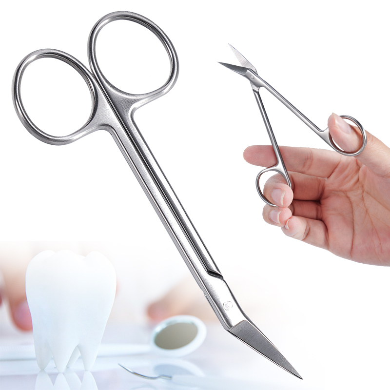 1 قطعة مقص صغير للأسنان منحني  - مراجعة Medical Scissors وسعره